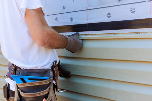 Affordable Siding Repair solutions in Hinckley, IL
